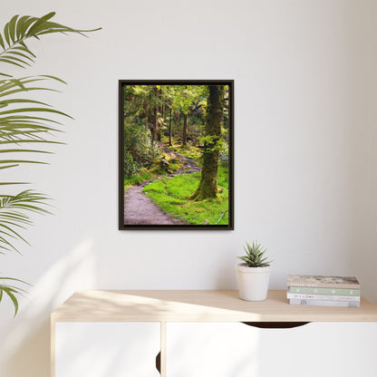 Torc Trail Matte Canvas, Framed (Multi-color)