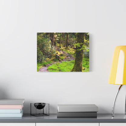 Torc Trail Matte Canvas, Stretched, 1.25"