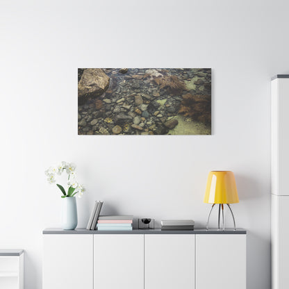 Rocks Matte Canvas, Stretched, 1.25"