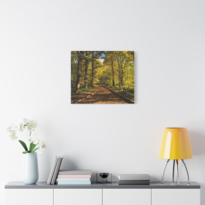 Listowel Town Park Autumn Matte Canvas, Stretched, 1.25"