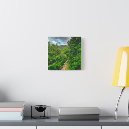 Torc Trail Matte Canvas, Stretched, 1.25"