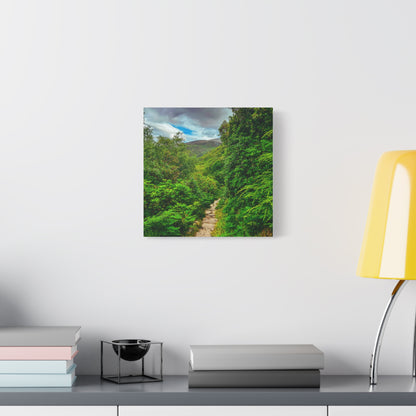 Torc Trail Matte Canvas, Stretched, 1.25"