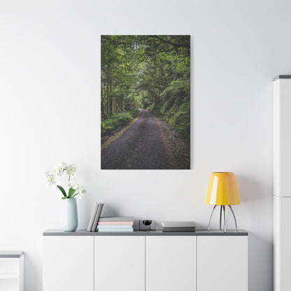Glanageenty Forest Trail Matte Canvas, Stretched, 1.25"