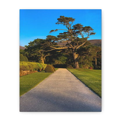 Muckross House Garden Matte Canvas, Stretched, 1.25"